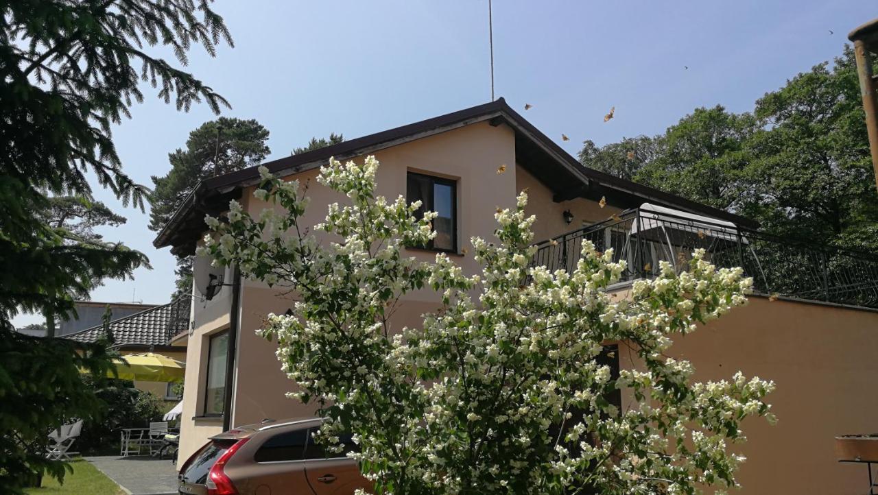 Willa Lysica Krynica Morska Exterior photo